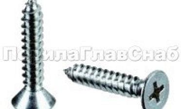 (DIN 7982.А2) Саморез 3,5х40 пот.гол. нерж. под крест М-3847 купить в Красноярске